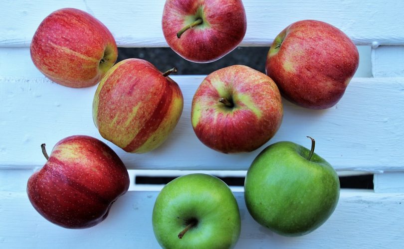 Déshydrateur alimentaire : comment choisir ?