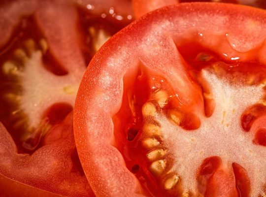 Comment garder des graines de tomates pour l'année prochaine ?