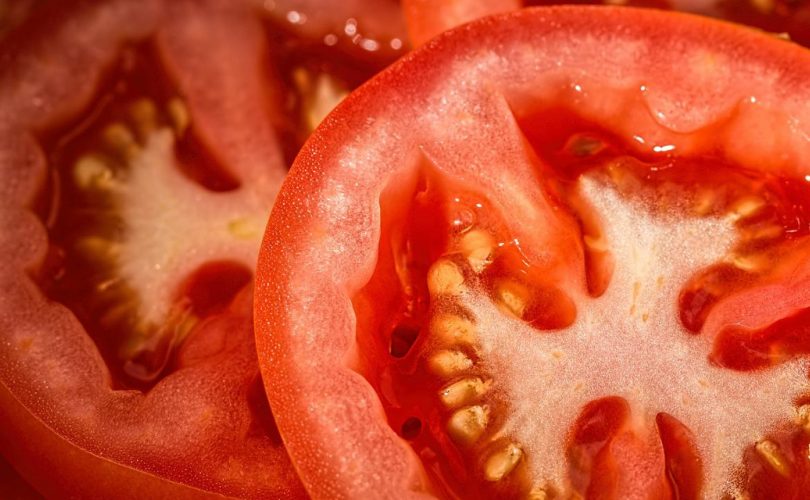 Comment garder des graines de tomates pour l'année prochaine ?