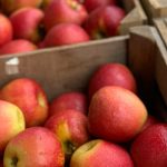 Les nombreux avantages de la vente directe à la ferme