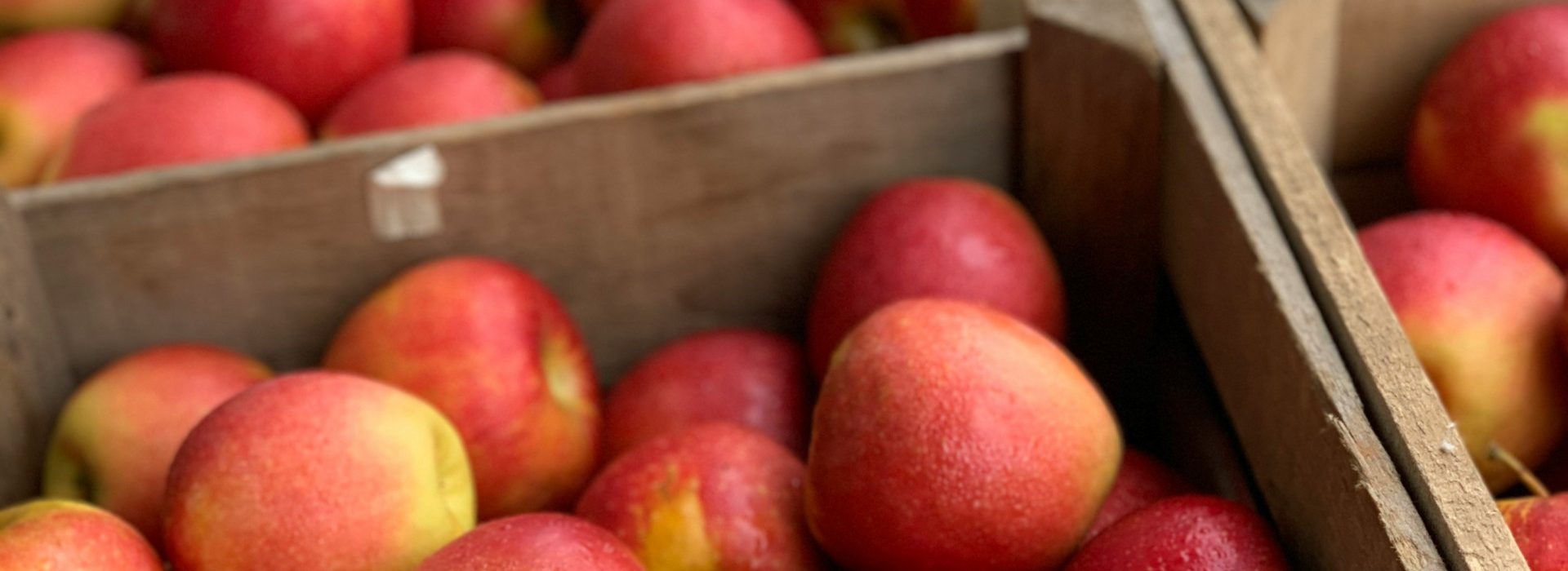 Les nombreux avantages de la vente directe à la ferme