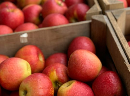 Les nombreux avantages de la vente directe à la ferme