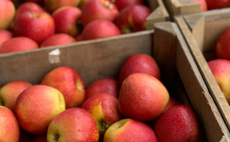 Les nombreux avantages de la vente directe à la ferme